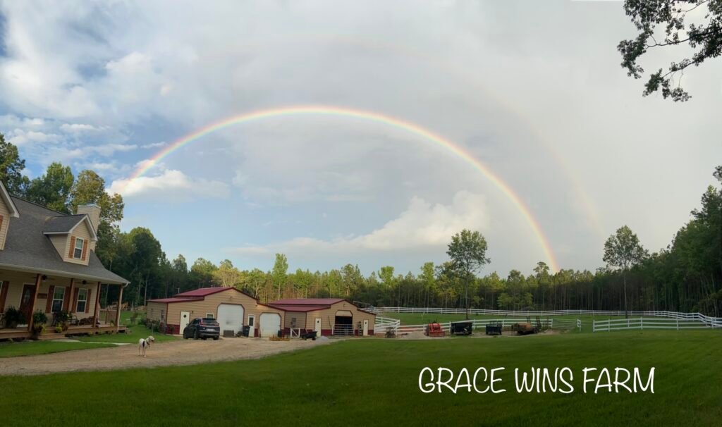 Building site preparation Grace Wins Farm